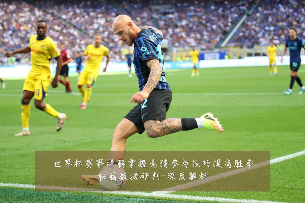 世界杯赛事详解掌握竞猜参与技巧提高胜率秘籍数据研判-深度解析